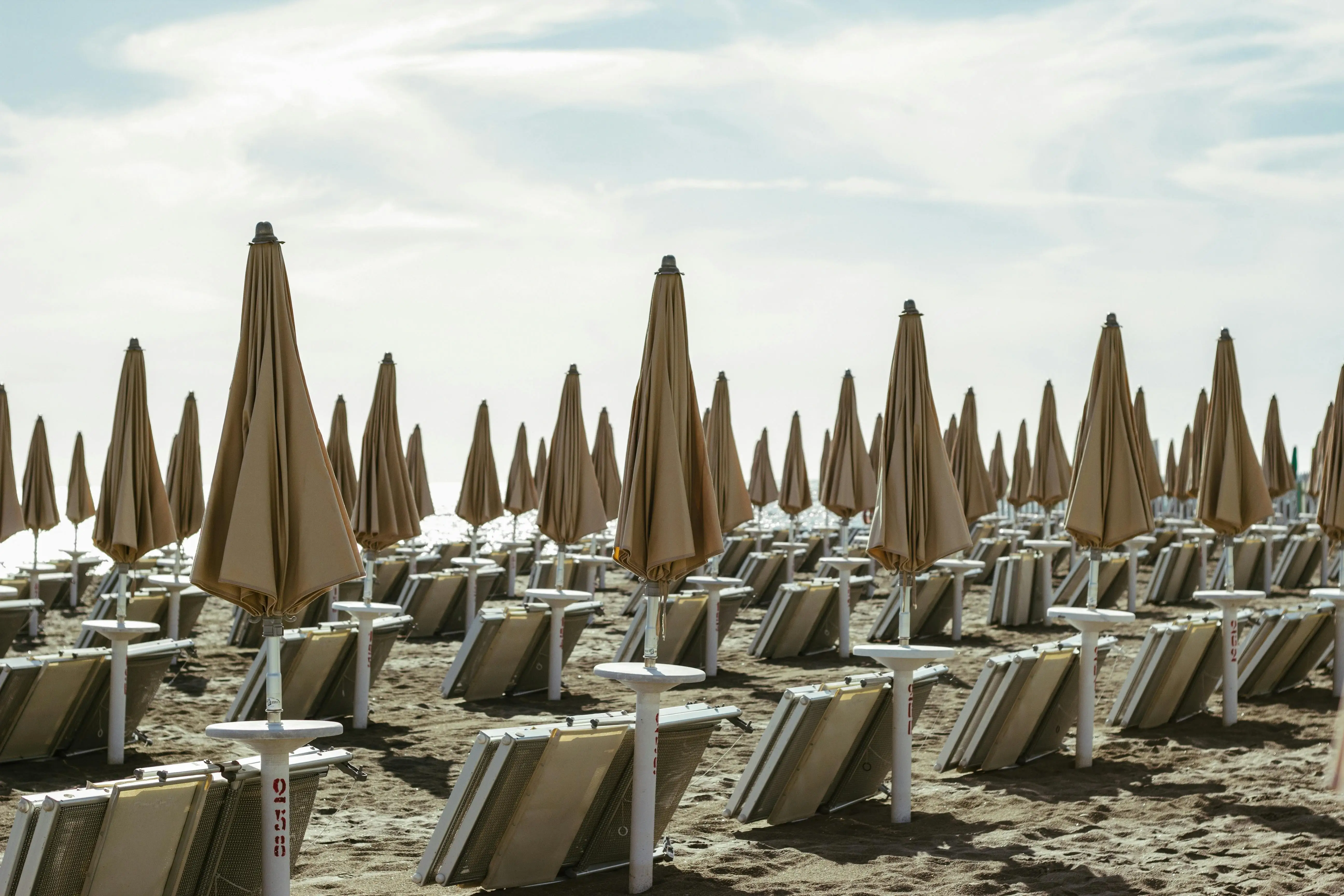 Beach Umbrella